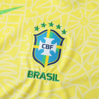 2024 Brazil Home