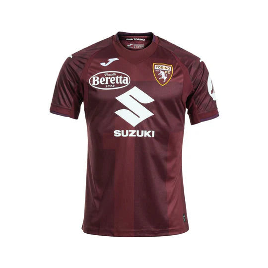 2024-25 Torino FC Home