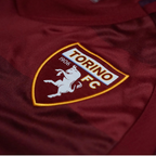 2024-25 Torino FC Home
