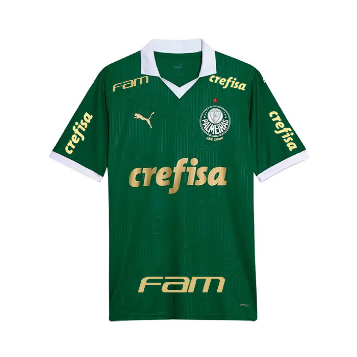 2024-25 Se Palmeiras Home