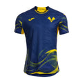2025-26 Hellas Verona FC Home