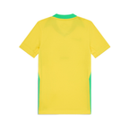 2025 Brazil Home