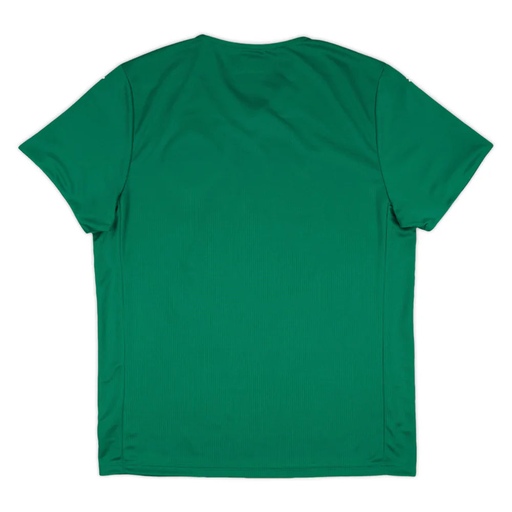 Maillot Domicile SE Palmeiras 2025-26