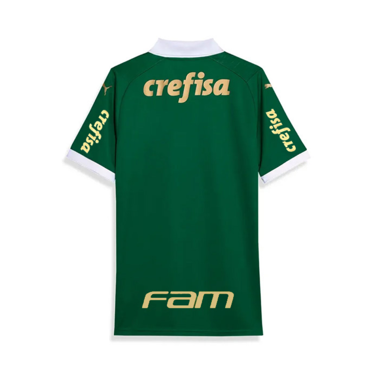 2024-25 Se Palmeiras Home