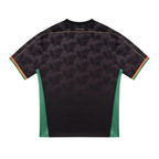 2024-25 Venezia FC Home