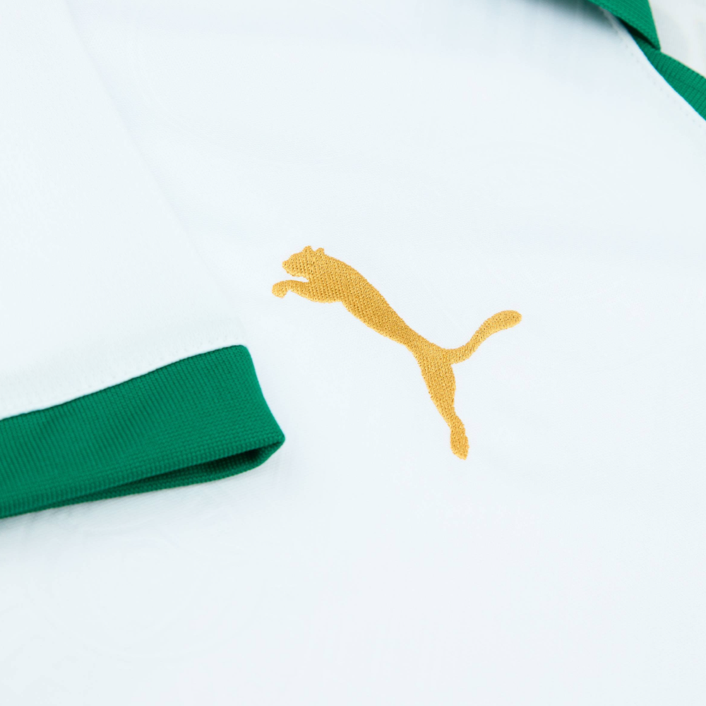2024-25 Se Palmeiras Away