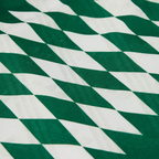 1995-96 Panathinaikos FC Home