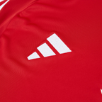 2024-25 Manchester United FC Home