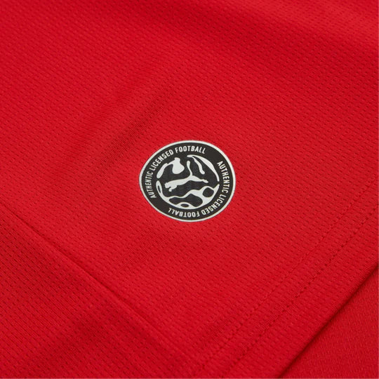 2026 Czech Republic Home