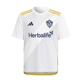 2024-25 La Galaxy Home