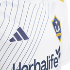 2024-25 La Galaxy Home